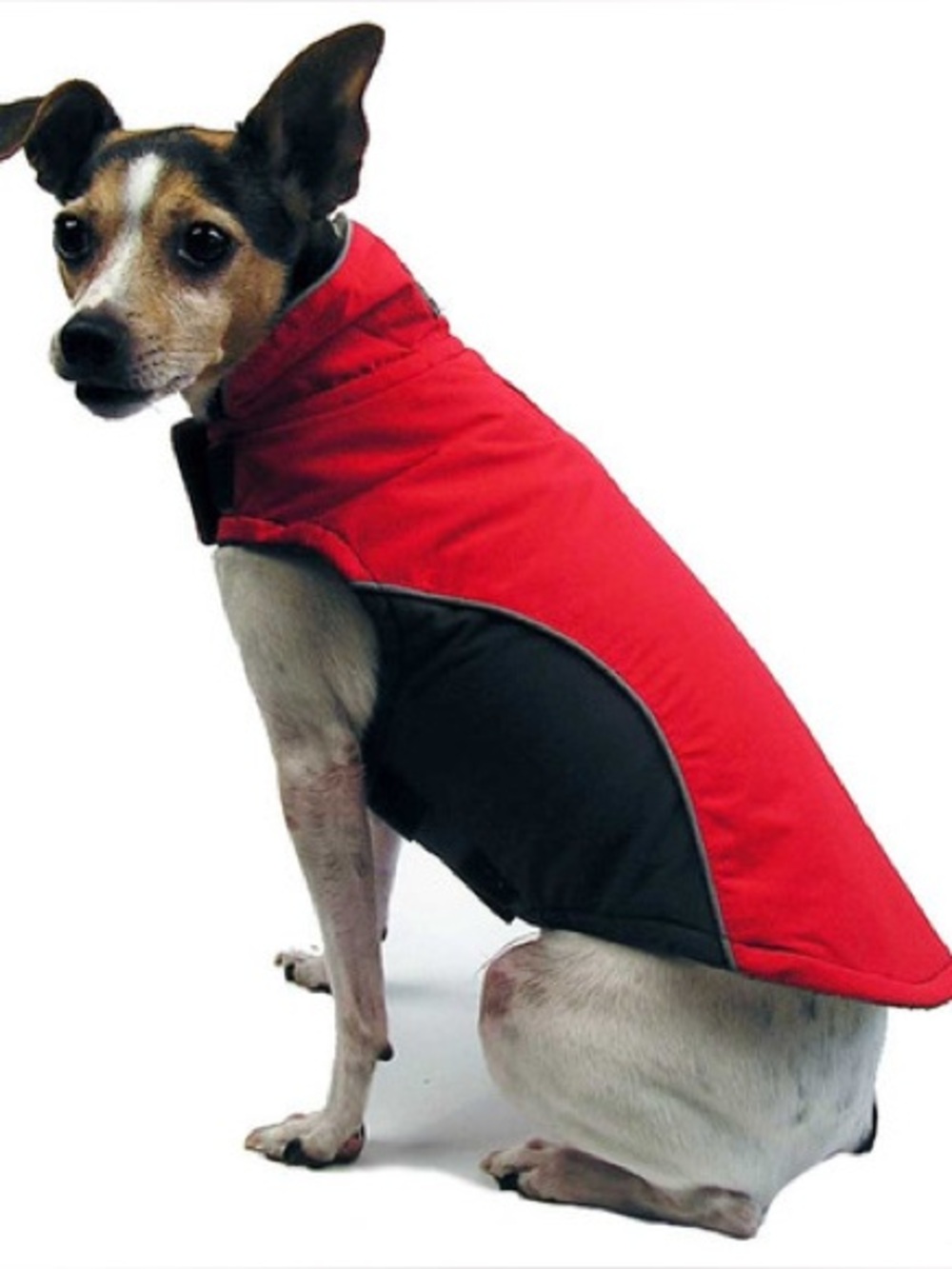 THE WORTHY DOG Apex Dog Coat - Red